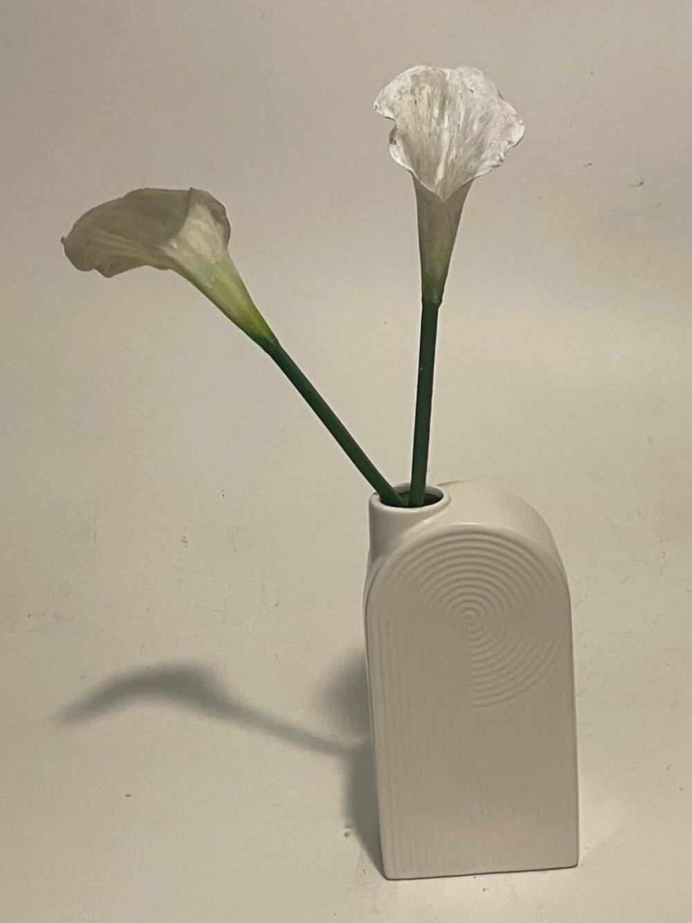 Elegant Oval Arched Silhouette White Ceramic Vase from Sagebrook Home